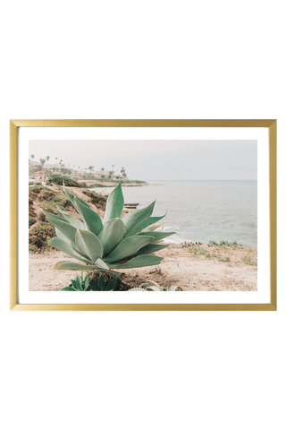 California Print - Wholesale | San Diego Art Print - La Jolla | 20x20 inches | Qty 40